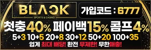 블랙 - 유흥모음